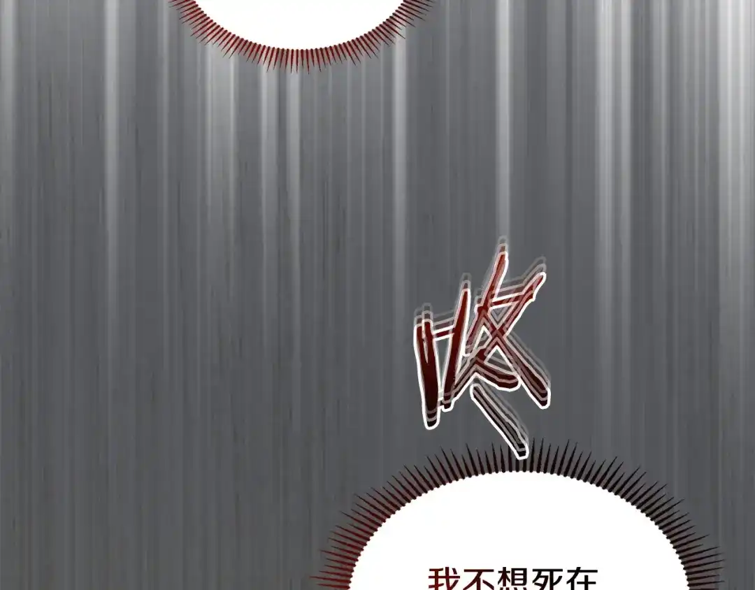 第215页