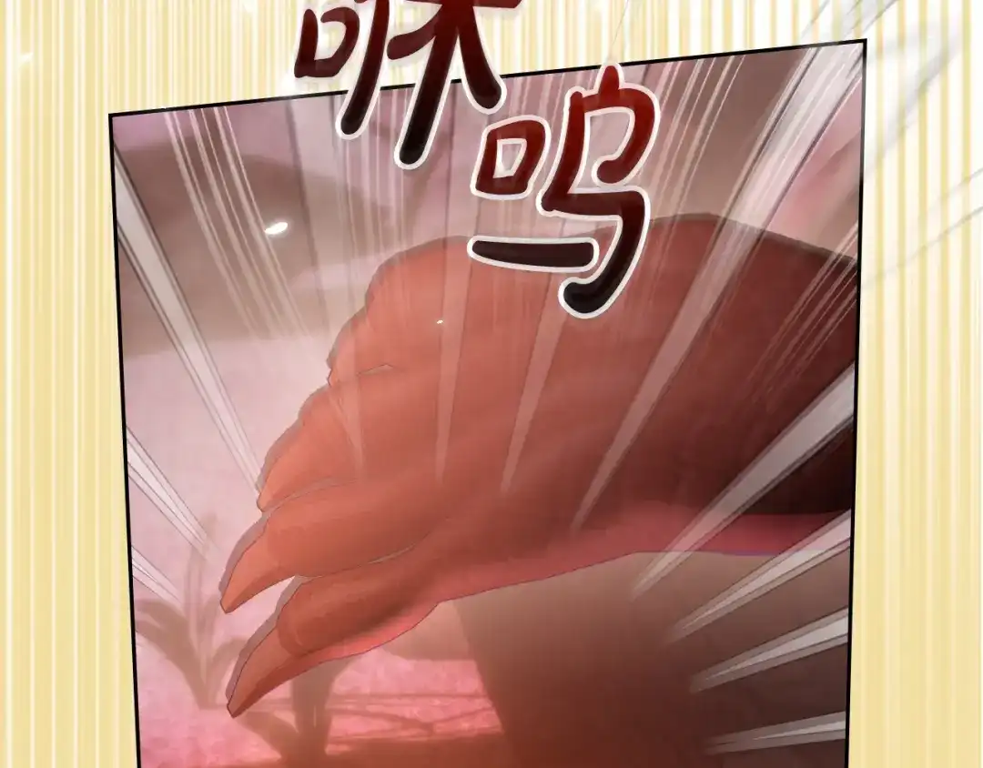 第245页