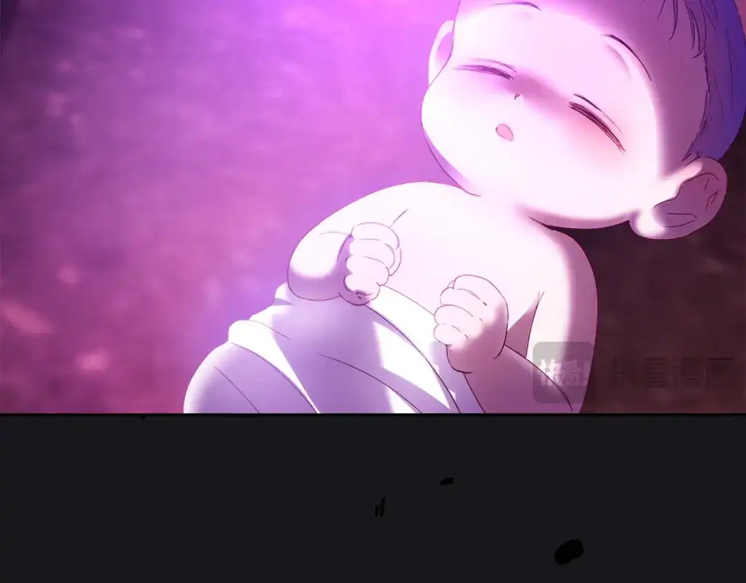 第204页