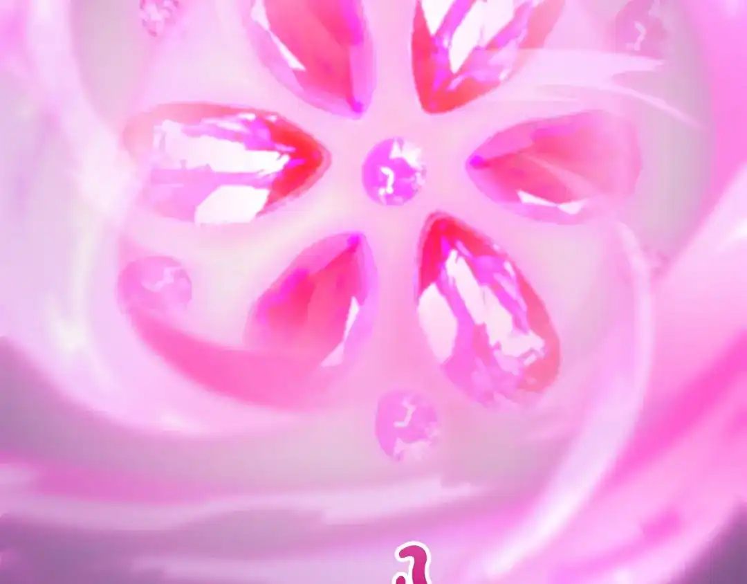 第213页
