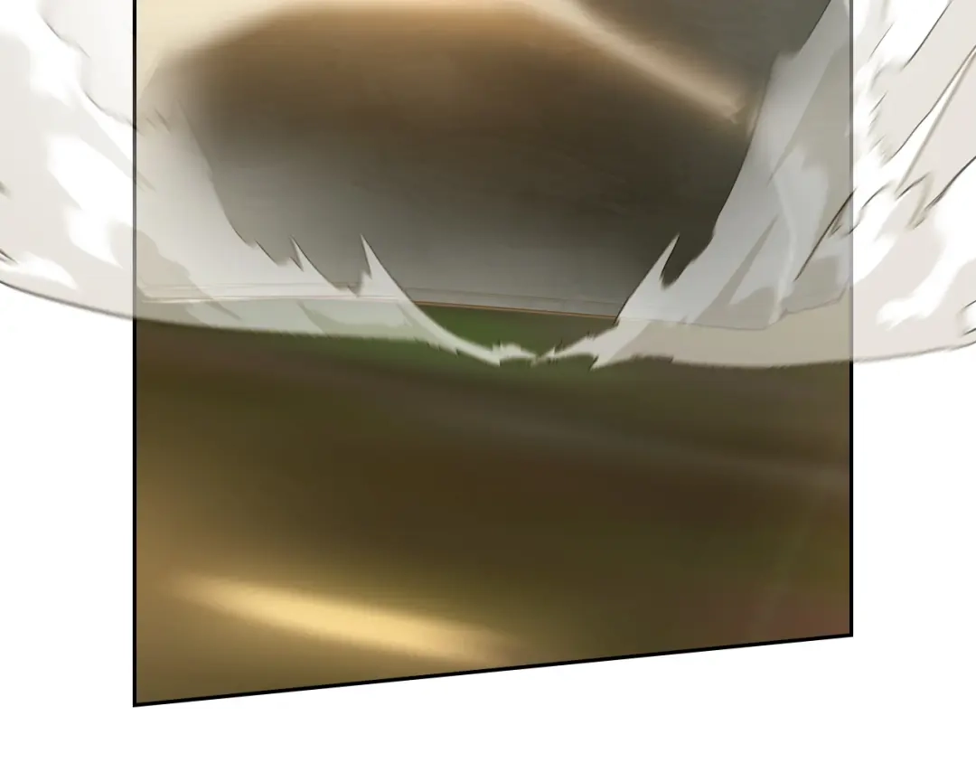 第242页
