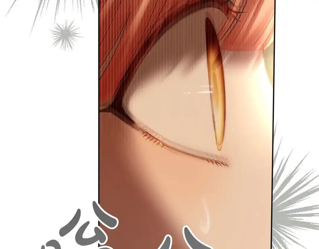 第515页