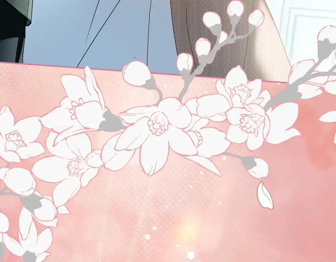 第217页