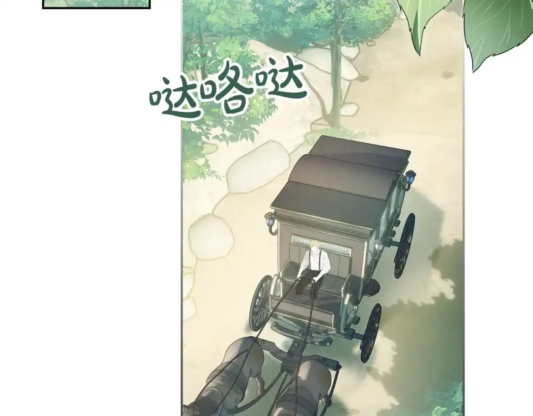 第213页