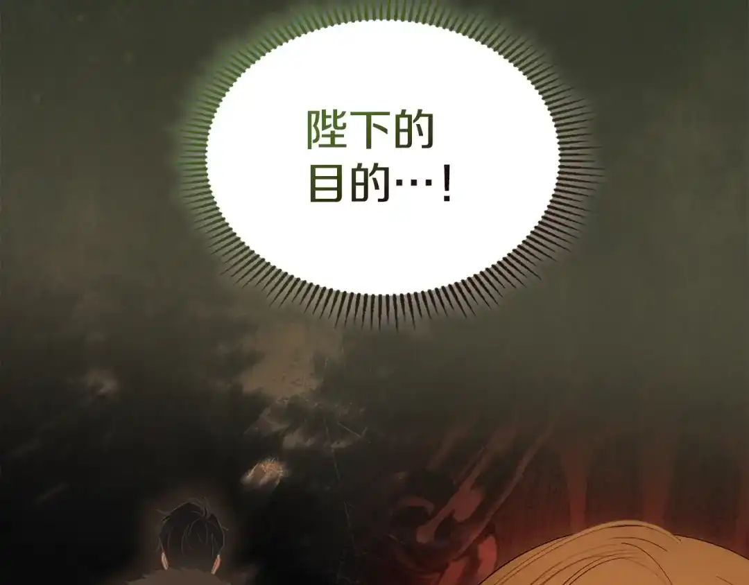 冬城的囚犯小公主 第97话 我会找出真相 第163页