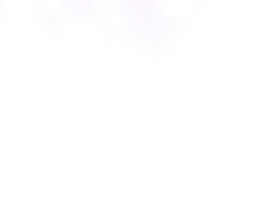 第194页