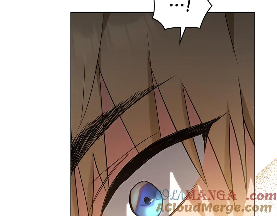 第221页