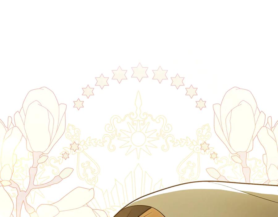 第223页