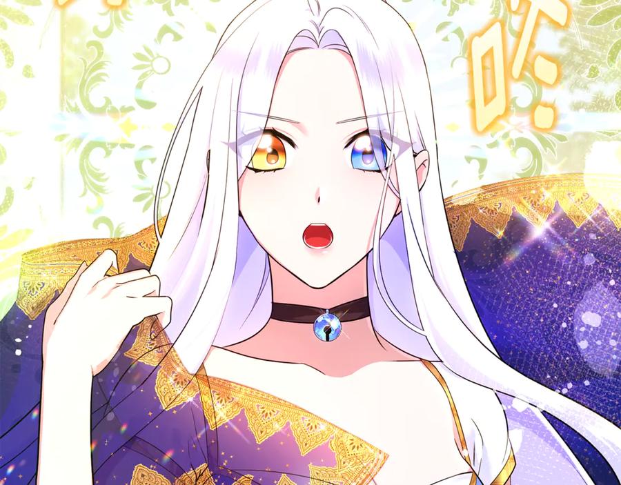 第204页