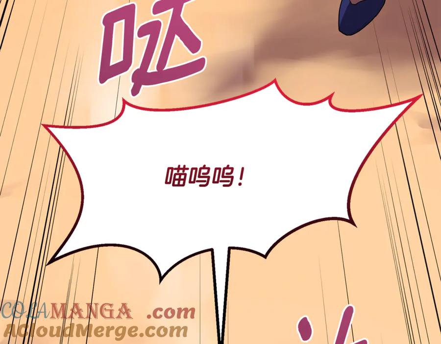 第217页