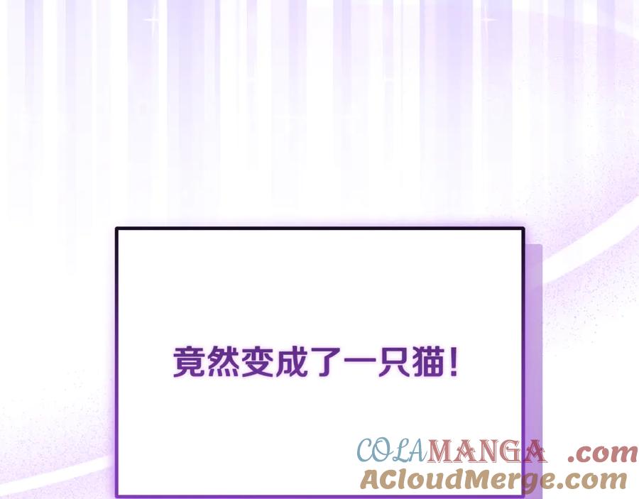 第221页