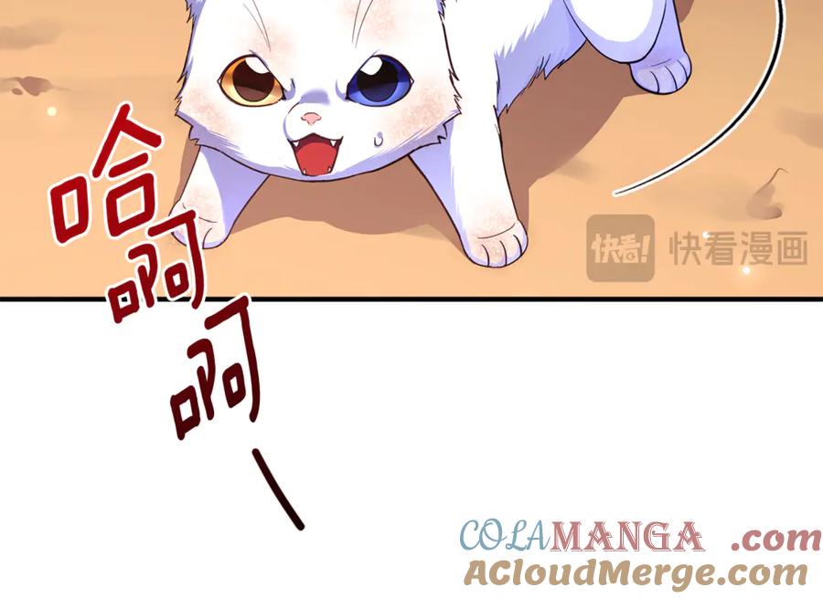 第229页