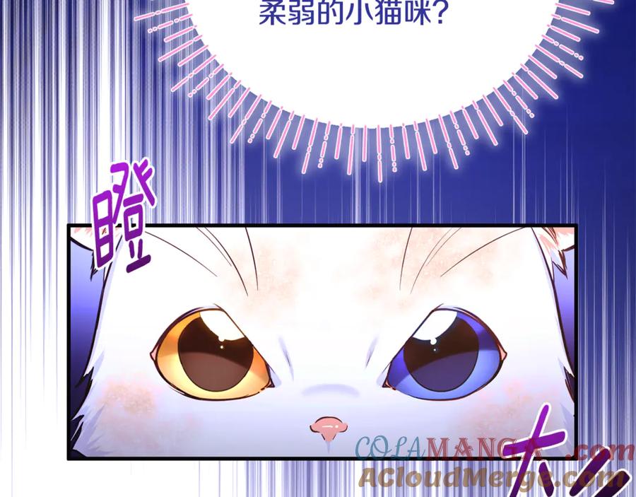 第237页