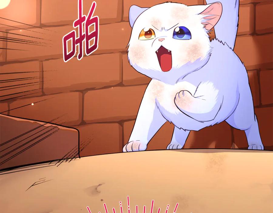 第240页