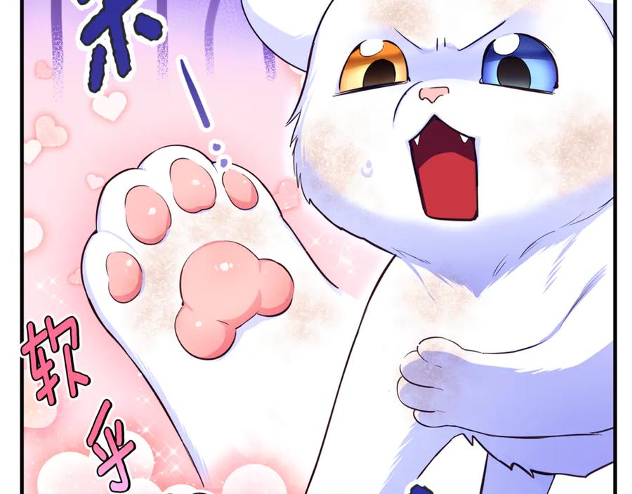 第244页