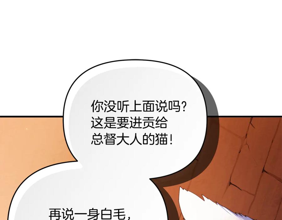 第251页