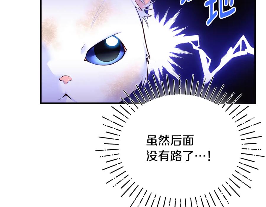 第255页