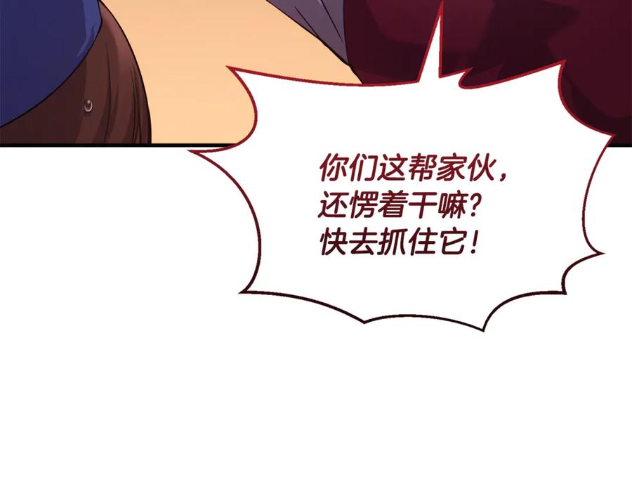 第271页