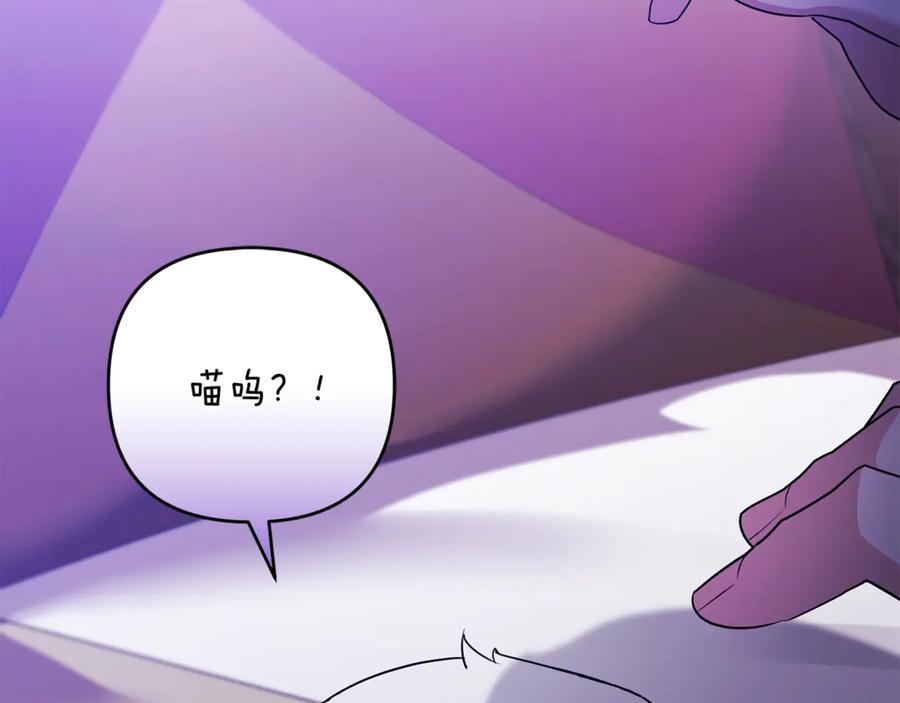 第202页