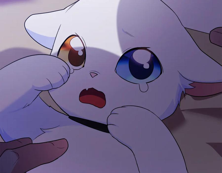 第203页