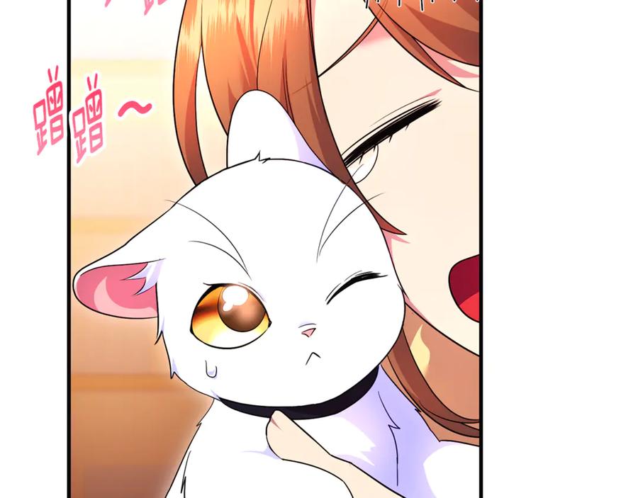 第211页