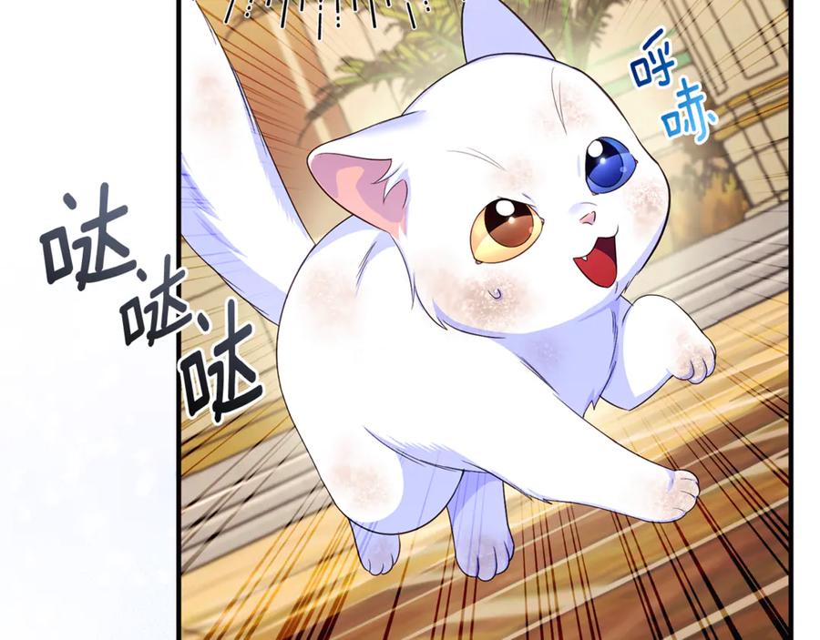 第203页