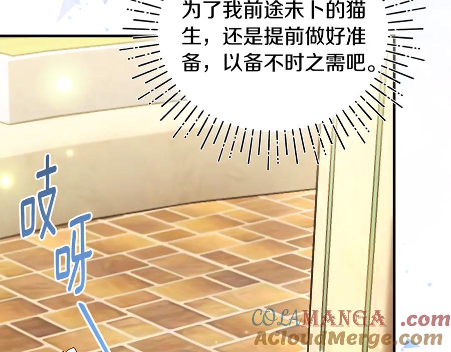 第205页