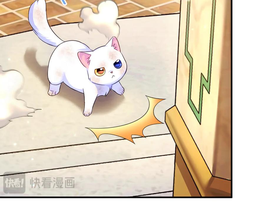 第206页