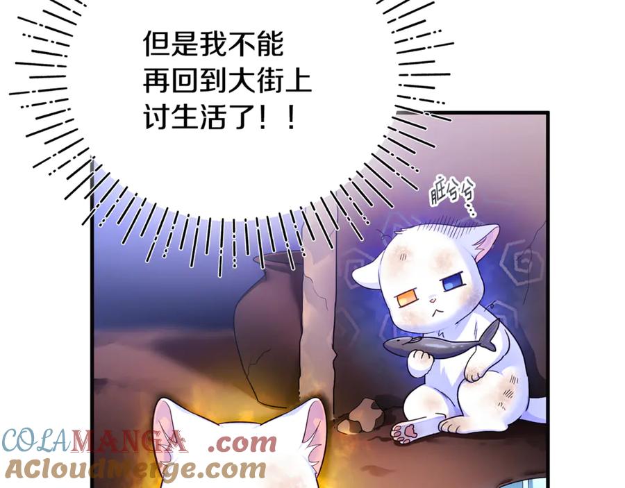 第213页
