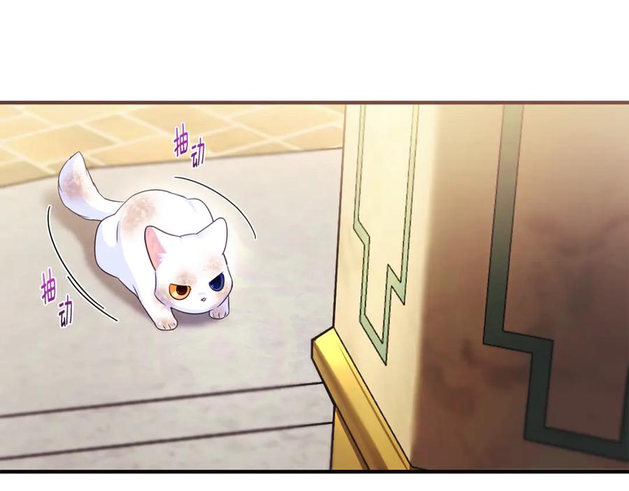 第215页