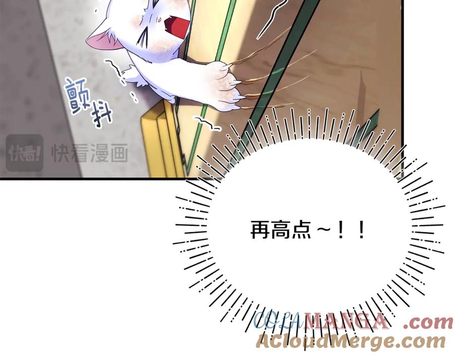 第225页