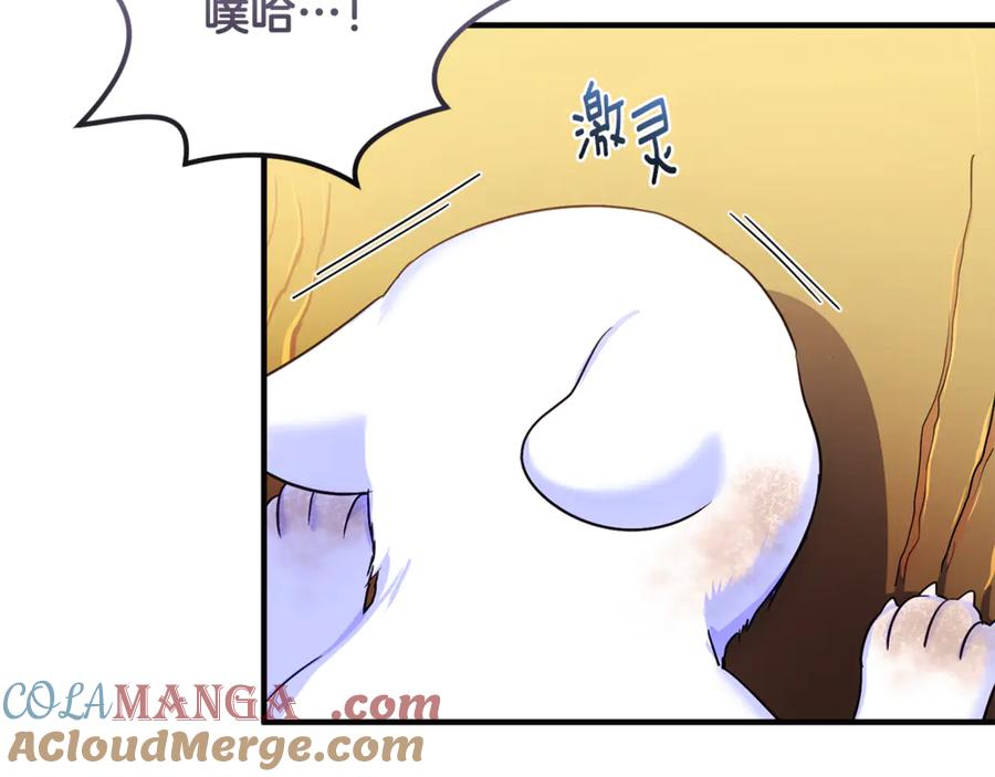 第229页
