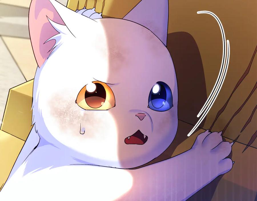 第234页