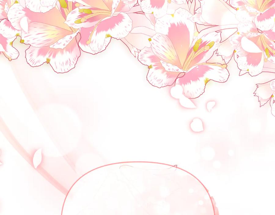 第223页