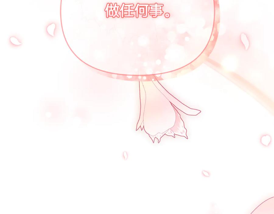 第224页