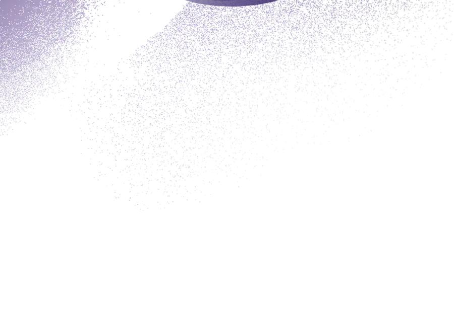 第204页