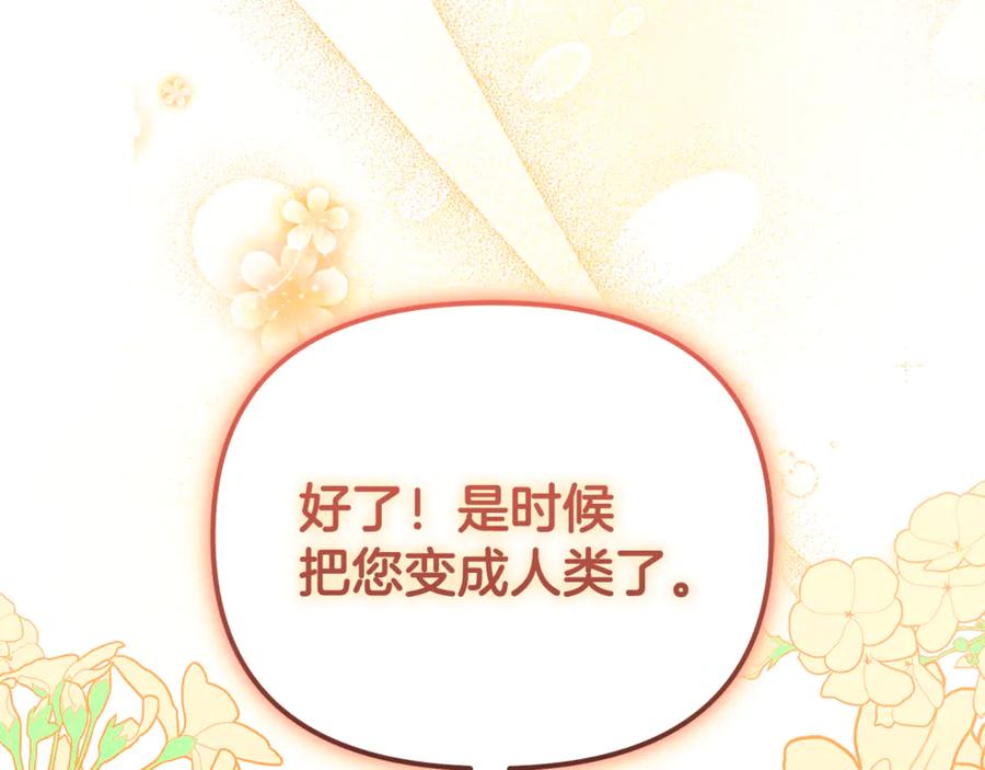 第230页