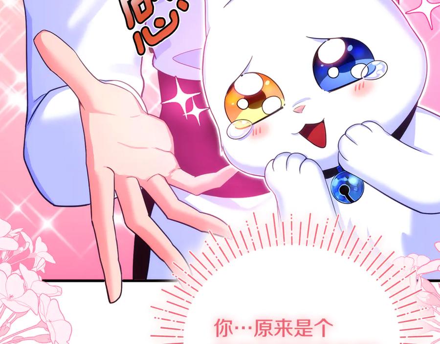 第233页