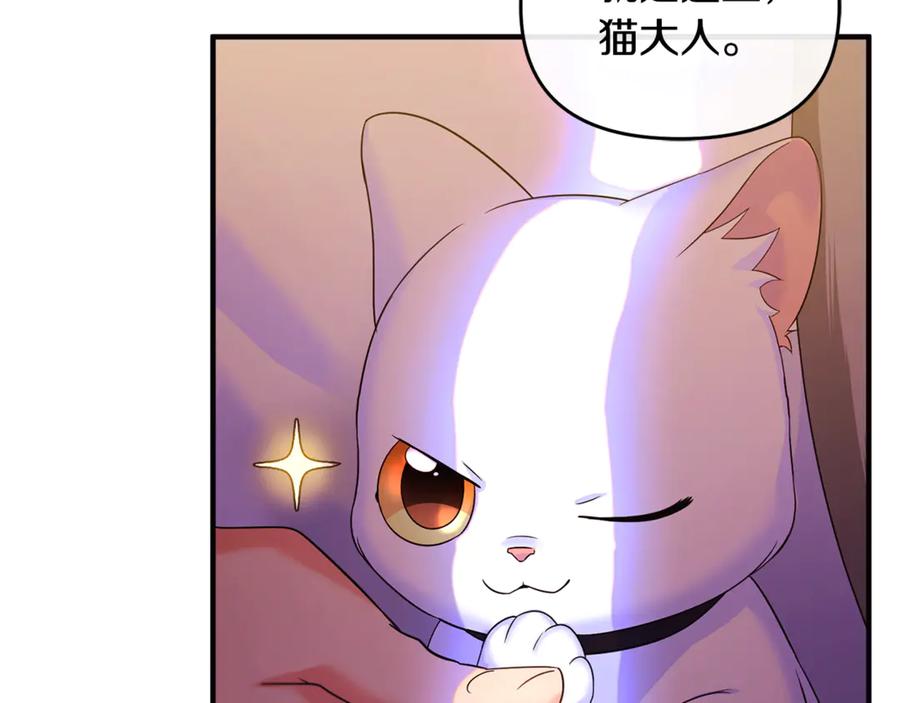 第243页