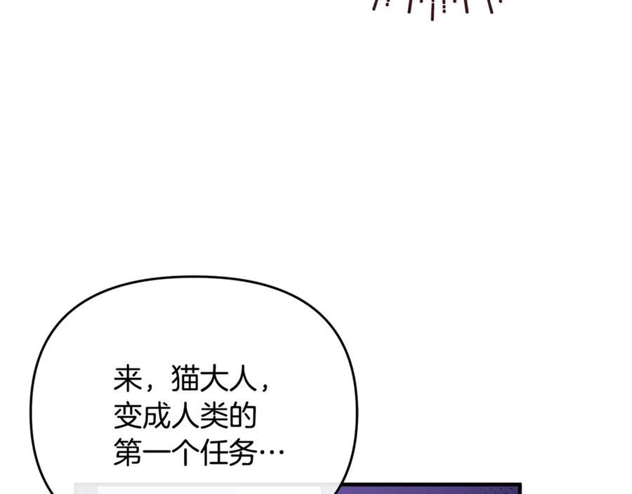 第254页