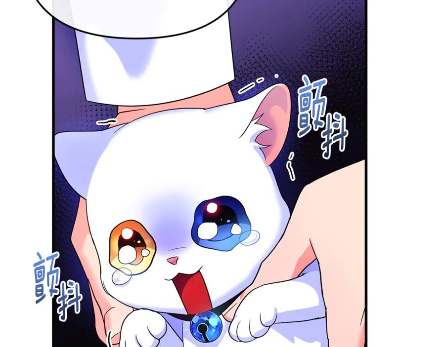 第255页