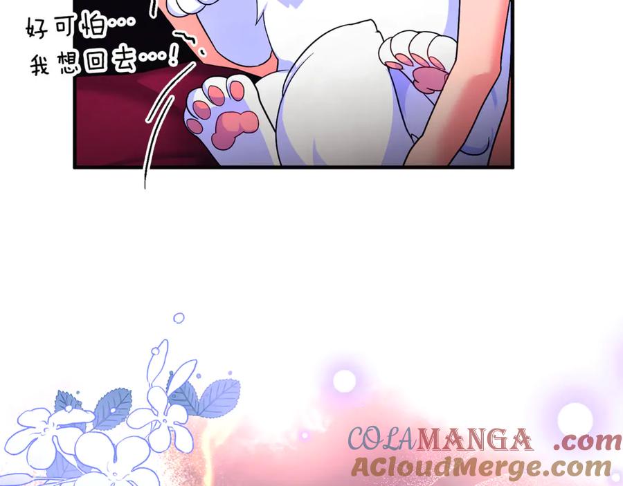 第256页