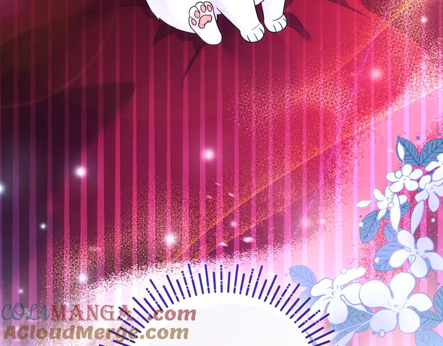 第260页