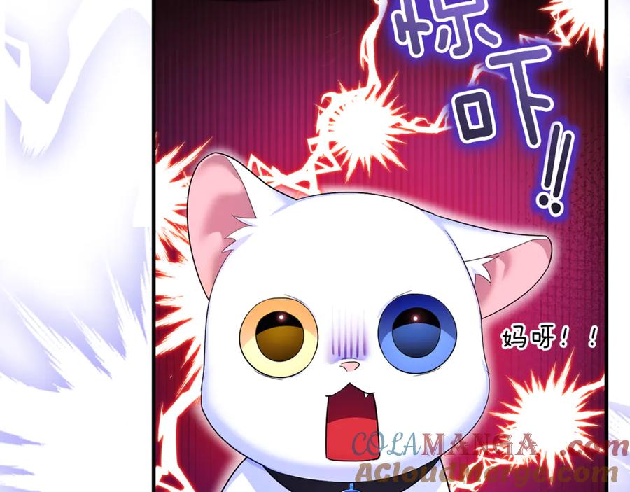 第205页