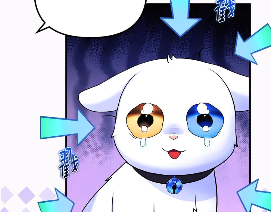 第202页