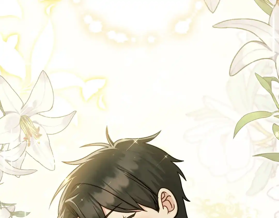 第215页