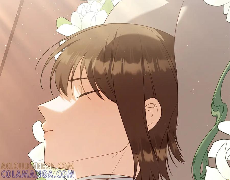 第217页