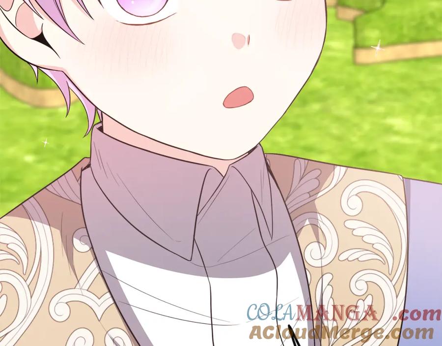 第213页