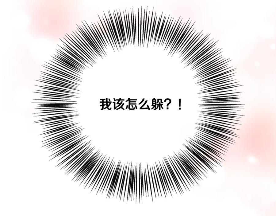 第231页