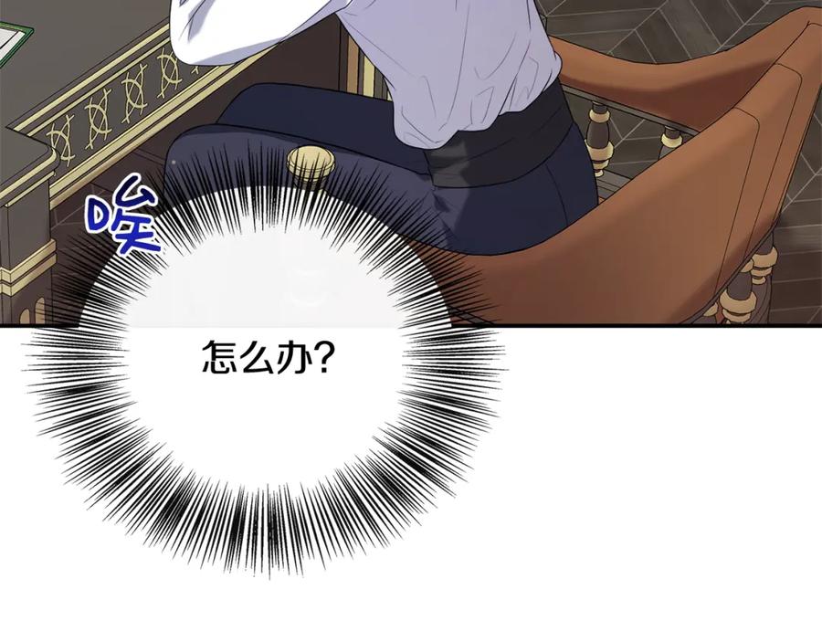 第215页